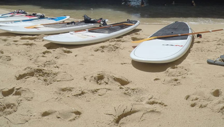 Paddle Surf Tour of the Algarve Caves