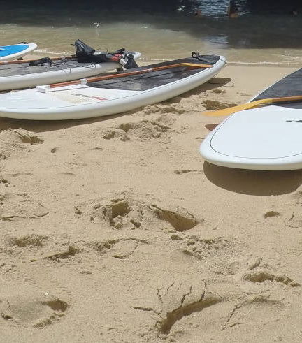 Foto de Tour en paddle surf por las cuevas del Algarve