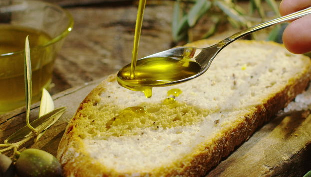 Visita guiada por la almazara El Alcázar - Foto 4