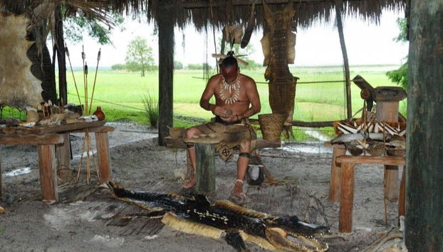 Paseo en aerodeslizador por los Everglades - Foto 4