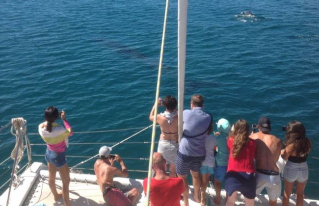 Paseo en catamarán a Praia da Luz - Foto 3