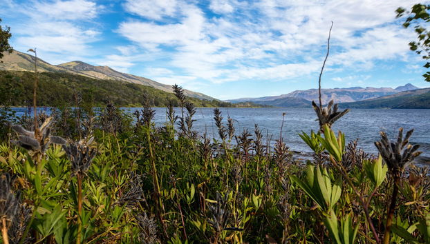 Trekking al vulcano Colorado - Foto 5