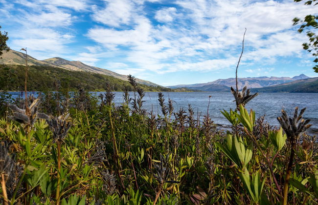 Trekking al vulcano Colorado - Foto 5