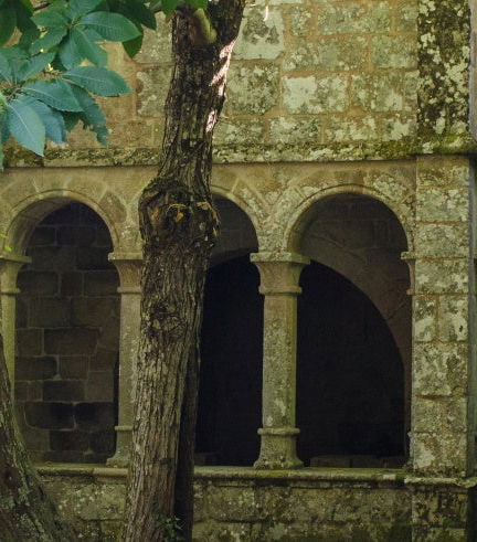 Foto - Escursione alla Ribeira Sacra