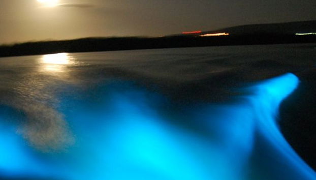 Excursión nocturna a la Laguna Luminosa - Foto 2