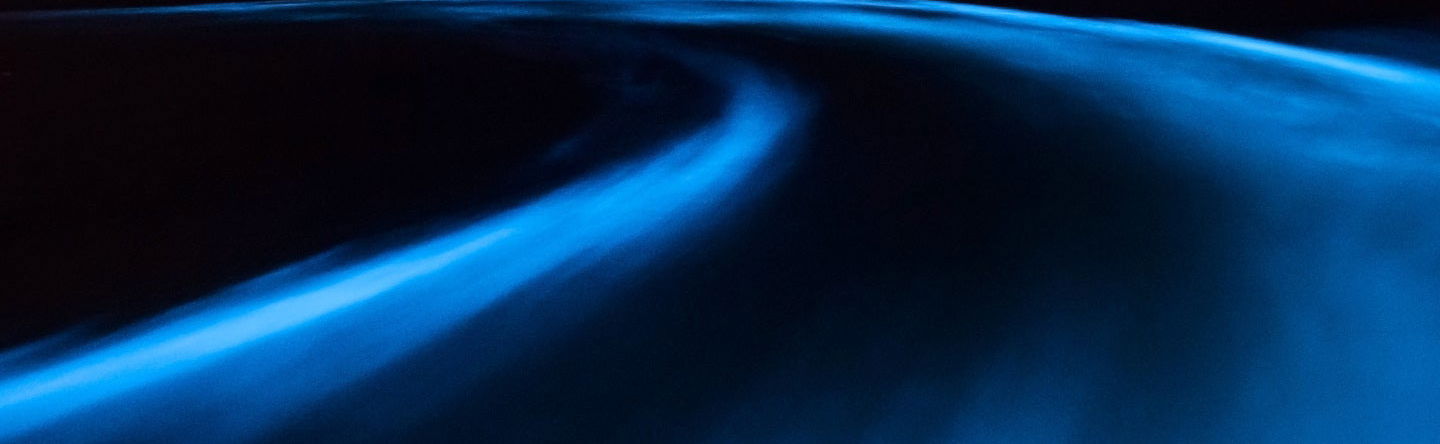 Escursione serale alla Laguna Luminosa - Foto 1