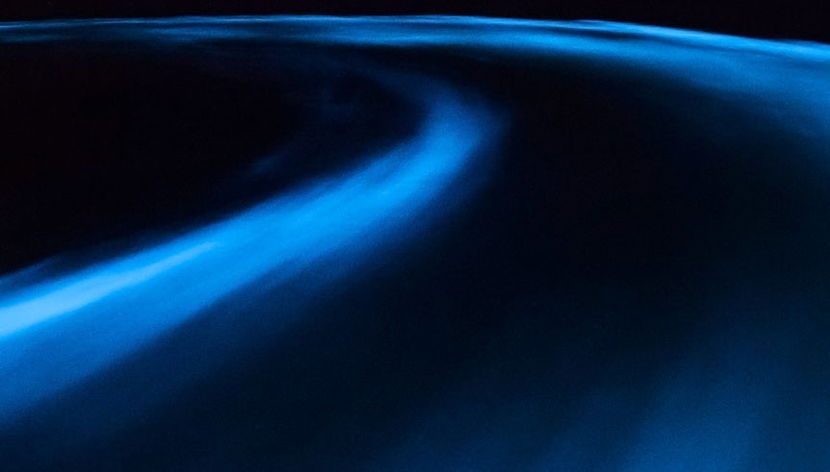 Excursión nocturna a la Laguna Luminosa - Foto 3