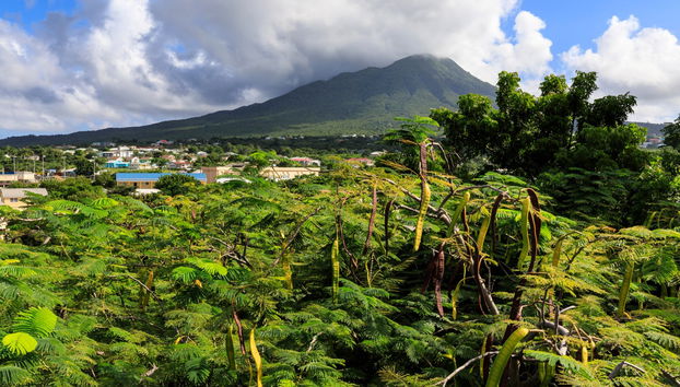 Nevis Island Excursion - Photo 4