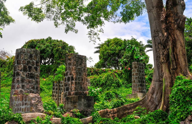 Nevis Island Excursion - Photo 7
