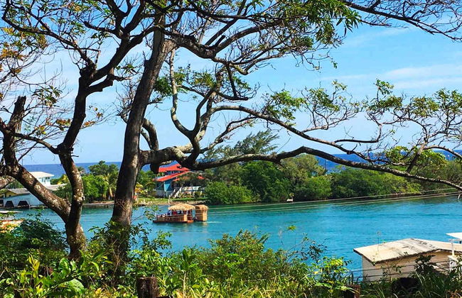 Paseo en casa flotante y snorkel en Roatán - Foto 6