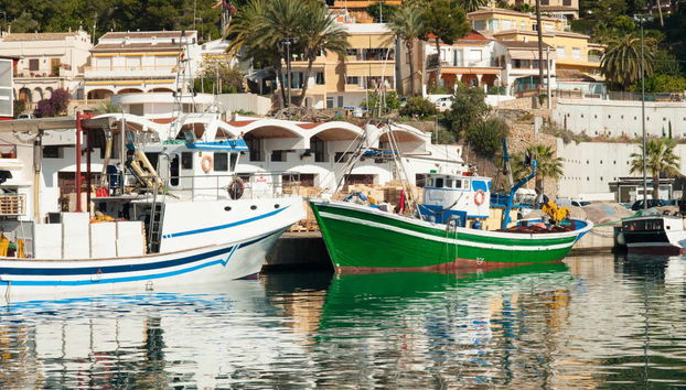 Ferry a Jávea - Foto 5