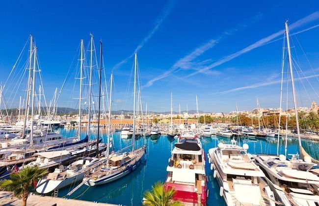 Ônibus turístico de Palma de Mallorca - Foto 3