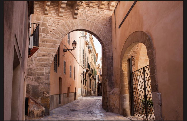 Ônibus turístico de Palma de Mallorca - Foto 5