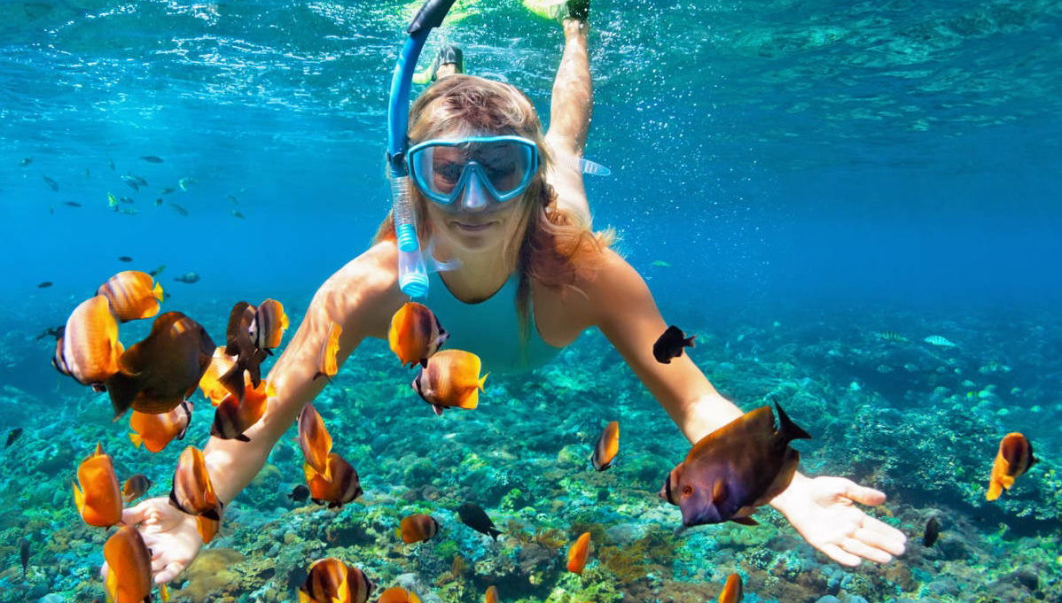 Snorkelling on Isla del Caño - Photo 1