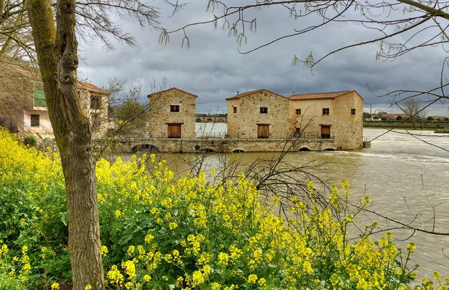 Tour por la Zamora medieval - Photo 1