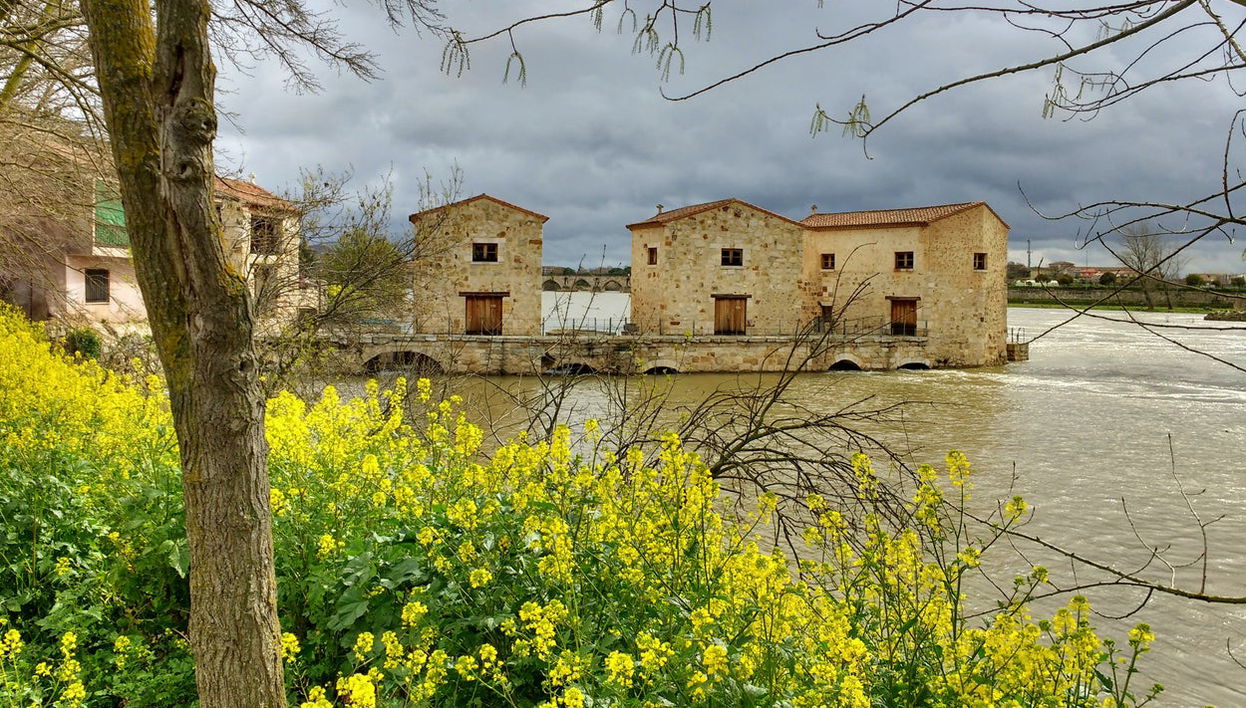 Tour por la Zamora medieval - Photo 1