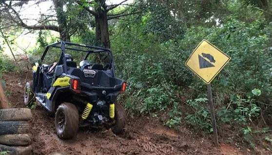 Tour en buggy por Monte Verde - Foto 1