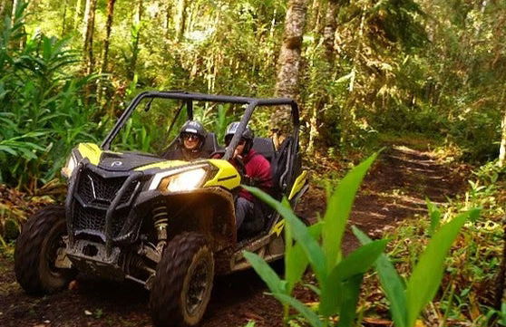 Tour de UTV em Monte Verde - Foto 5