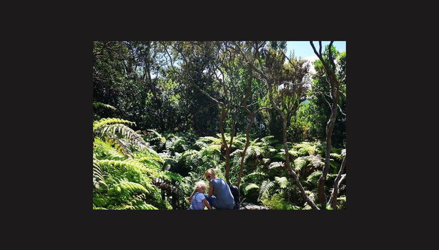 Tour de día completo por la isla de Faial - Foto 3