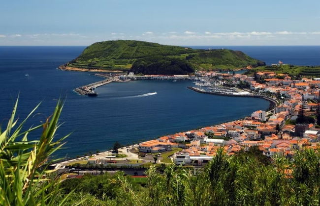 Visite d'une journée complète de l'île de Faial - Photo 1