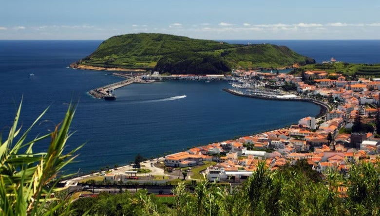 Visite d'une journée complète de l'île de Faial - Photo 1