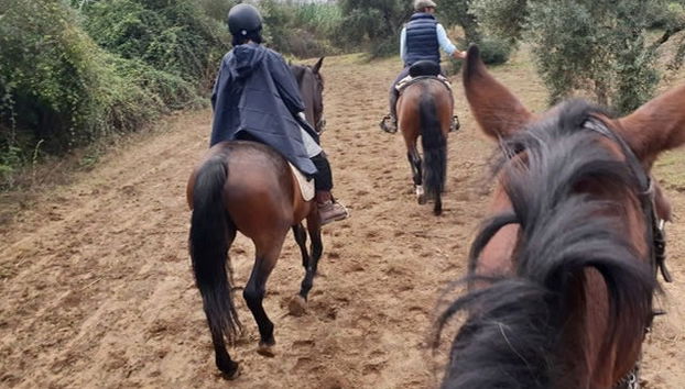 Passeio a cavalo por Doñana - Foto 2