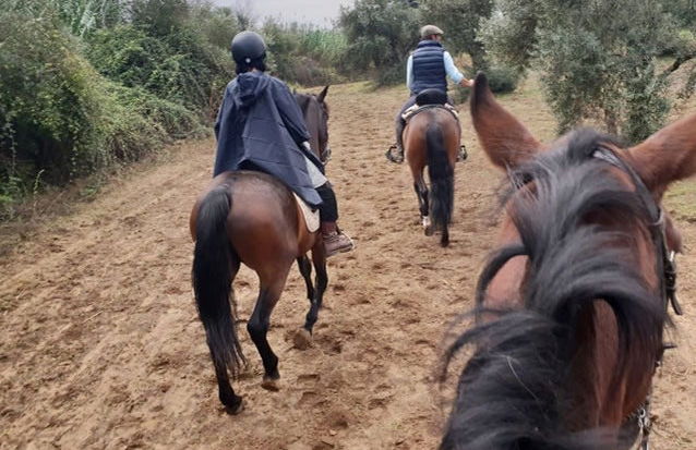 Passeio a cavalo por Doñana - Foto 2