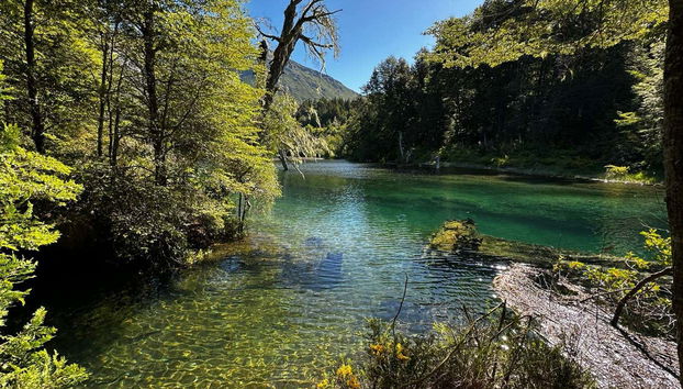 Bariloche 3 Lakes Private Trip - Foto 5