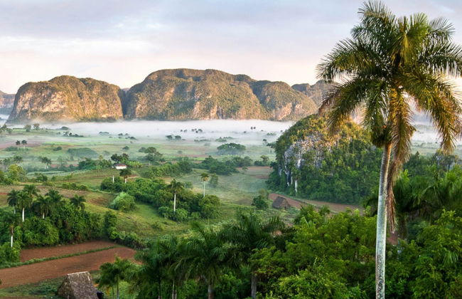 Viñales Valley Private Tour by Classic Car - Photo 1