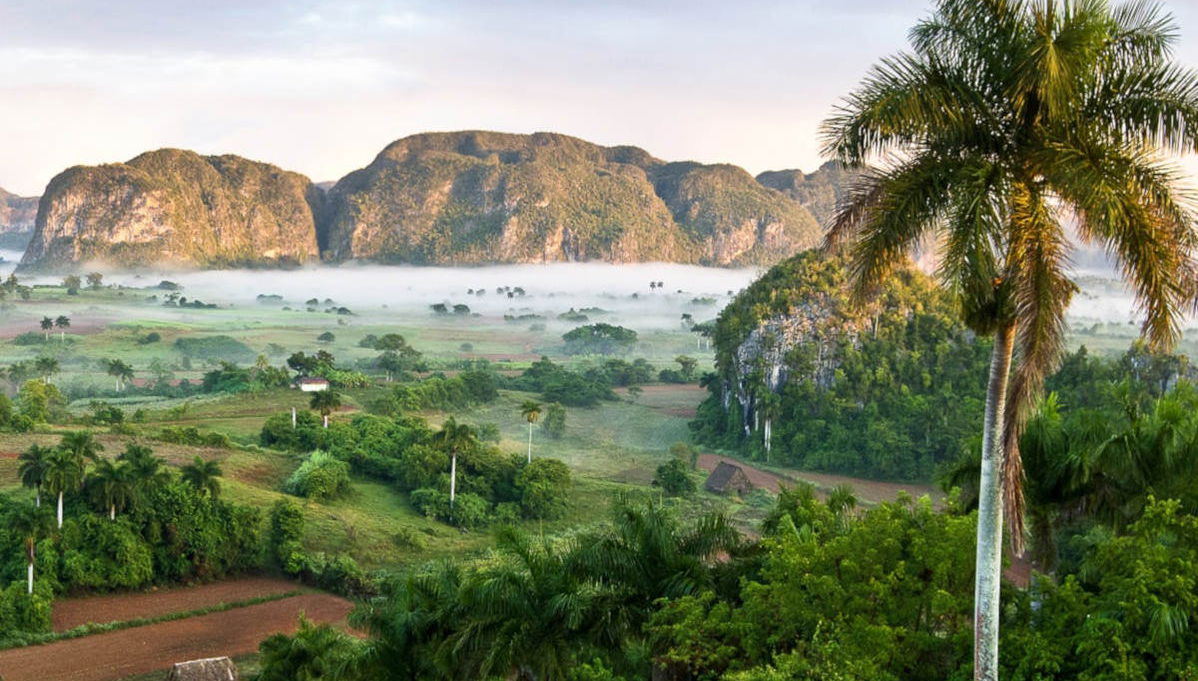 Viñales Valley Private Tour by Classic Car - Foto 1
