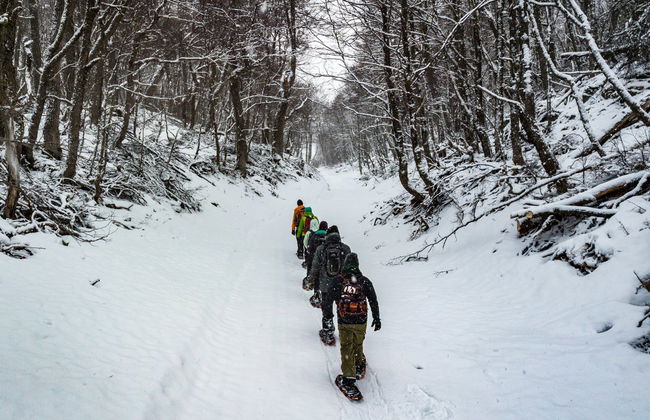 Aventura en moto de nieve y raquetas en Valle Tierra Mayor - Foto 2
