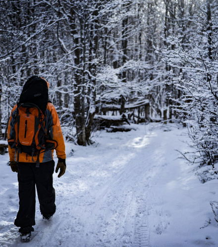 Foto de Aventura en moto de nieve y raquetas en Valle Tierra Mayor