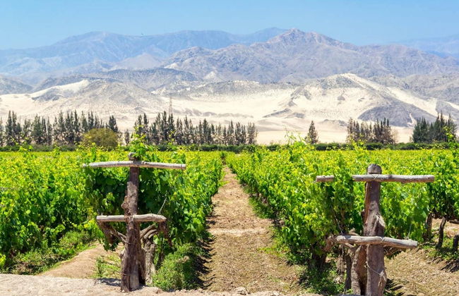 Tour de Ica al completo - Foto 6