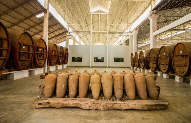 Tour de Ica al completo - Foto 5