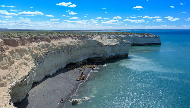 Excursion à Punta Loma et au Cerro Avanzado - Photo 4