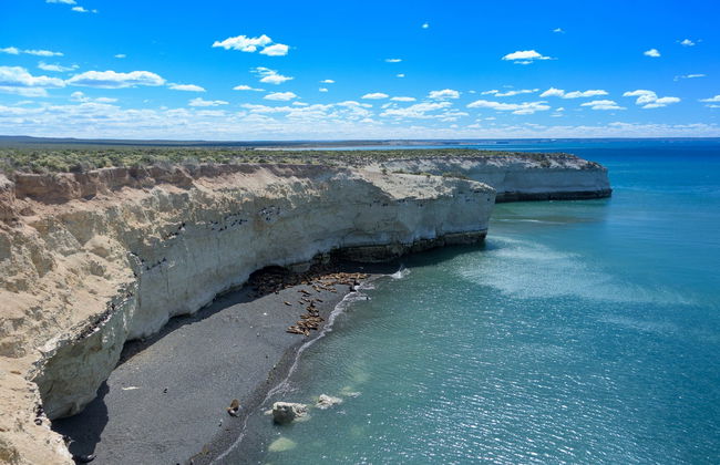Excursion à Punta Loma et au Cerro Avanzado - Photo 4