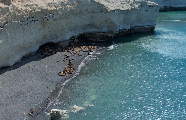 Excursión a Punta Loma y Cerro Avanzado - Foto 4