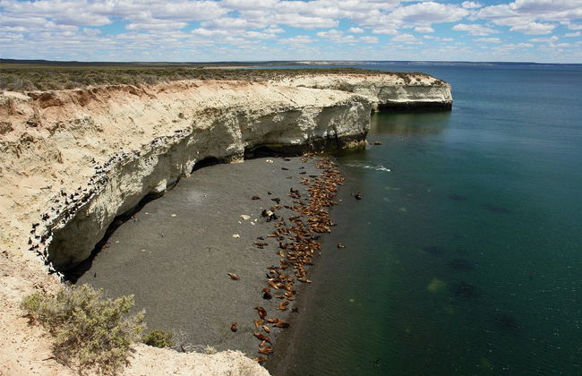 Excursión a Punta Loma y Cerro Avanzado - Foto 2