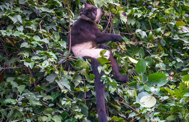 5 Day Circuit of North Vietnam - Foto 7