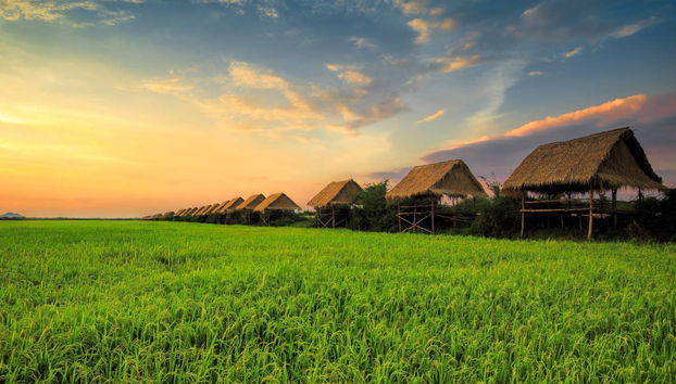 Tour en bicicleta por Siem Reap - Foto 4