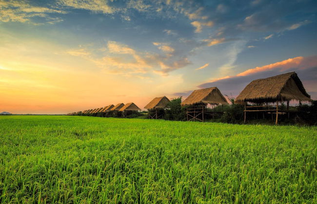 Siem Reap Bike Tour - Photo 4