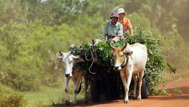 Tour en bicicleta por Siem Reap - Foto 3