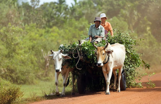 Siem Reap Bike Tour - Photo 3