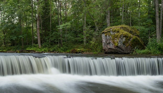 Excursion au Parc National Lahemaa - Photo 5