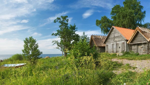 Excursion au Parc National Lahemaa - Photo 2