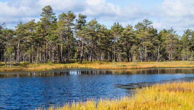 Excursion au Parc National Lahemaa - Photo 3