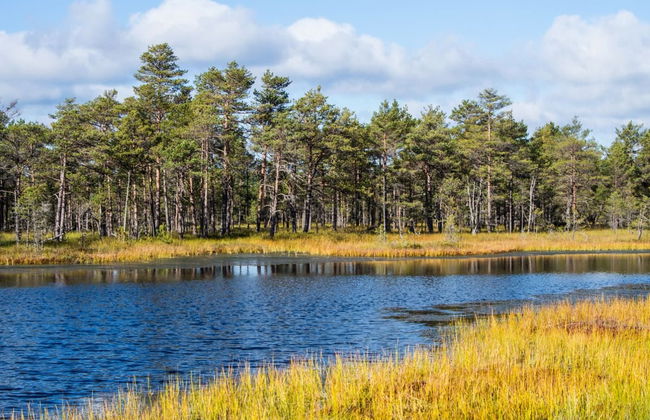 Excursion au Parc National Lahemaa - Photo 3