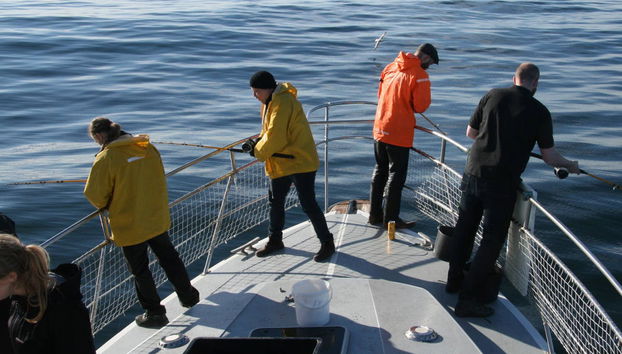 Reykjavik Fishing Trip - Foto 5