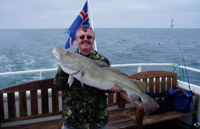 Reykjavik Fishing Trip - Photo 6