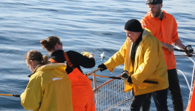 Reykjavik Fishing Trip - Foto 2